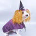 Dog Witch Turned Into A Purple Cloak