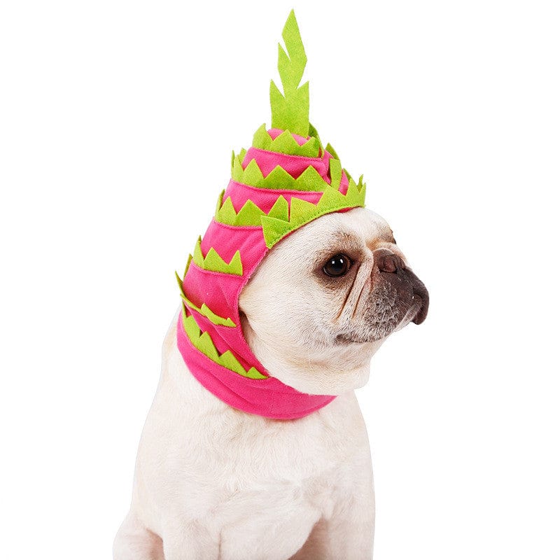 Dragon Fruit Dog Hat