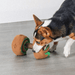 Dumbbell Treat Sniffing Toy