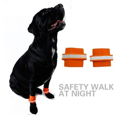 Fluorescent Reflective Dog Wristband