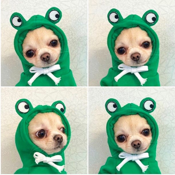 Frog Dog Hoodie Sweater