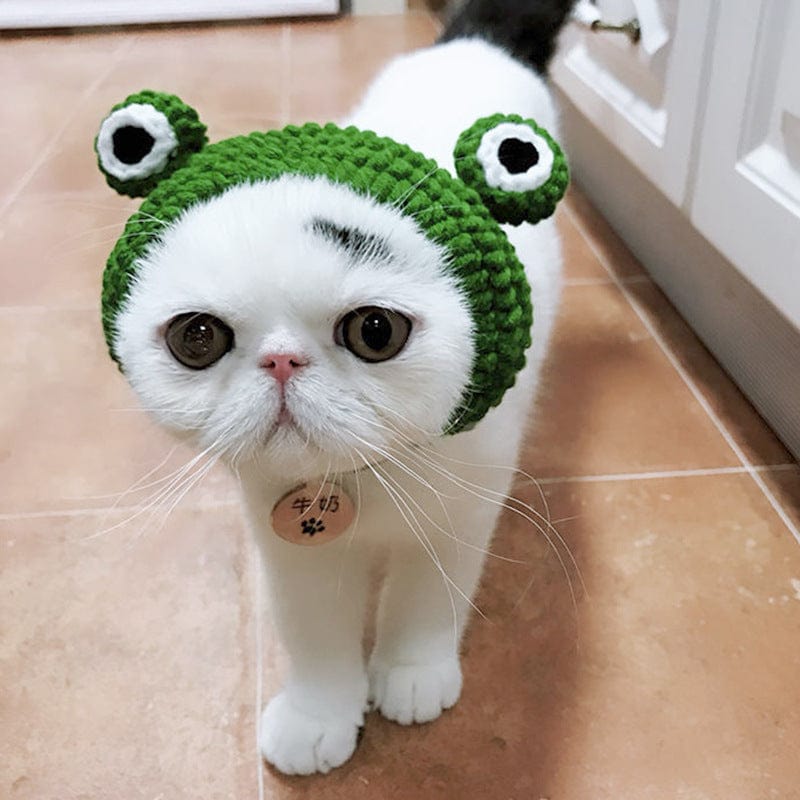 Frog woolen hat Cartoon Cross-Dressing Dog Cat Cross-Dressing Headgear Woolen Hat