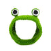 Frog woolen hat Cartoon Cross-Dressing Dog Cat Cross-Dressing Headgear Woolen Hat