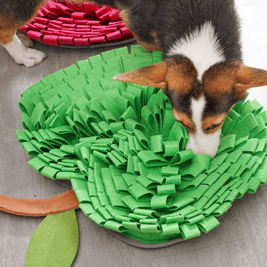 Green 20in Apple Snuffle Mat