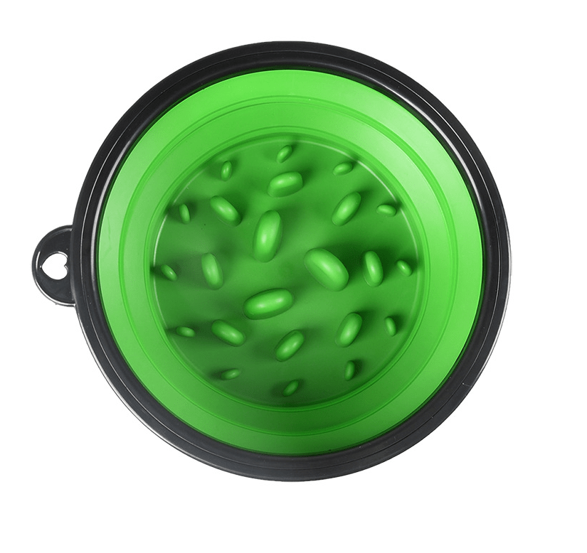 Green Collapsible Travel Slow Feeder Dog Bowl