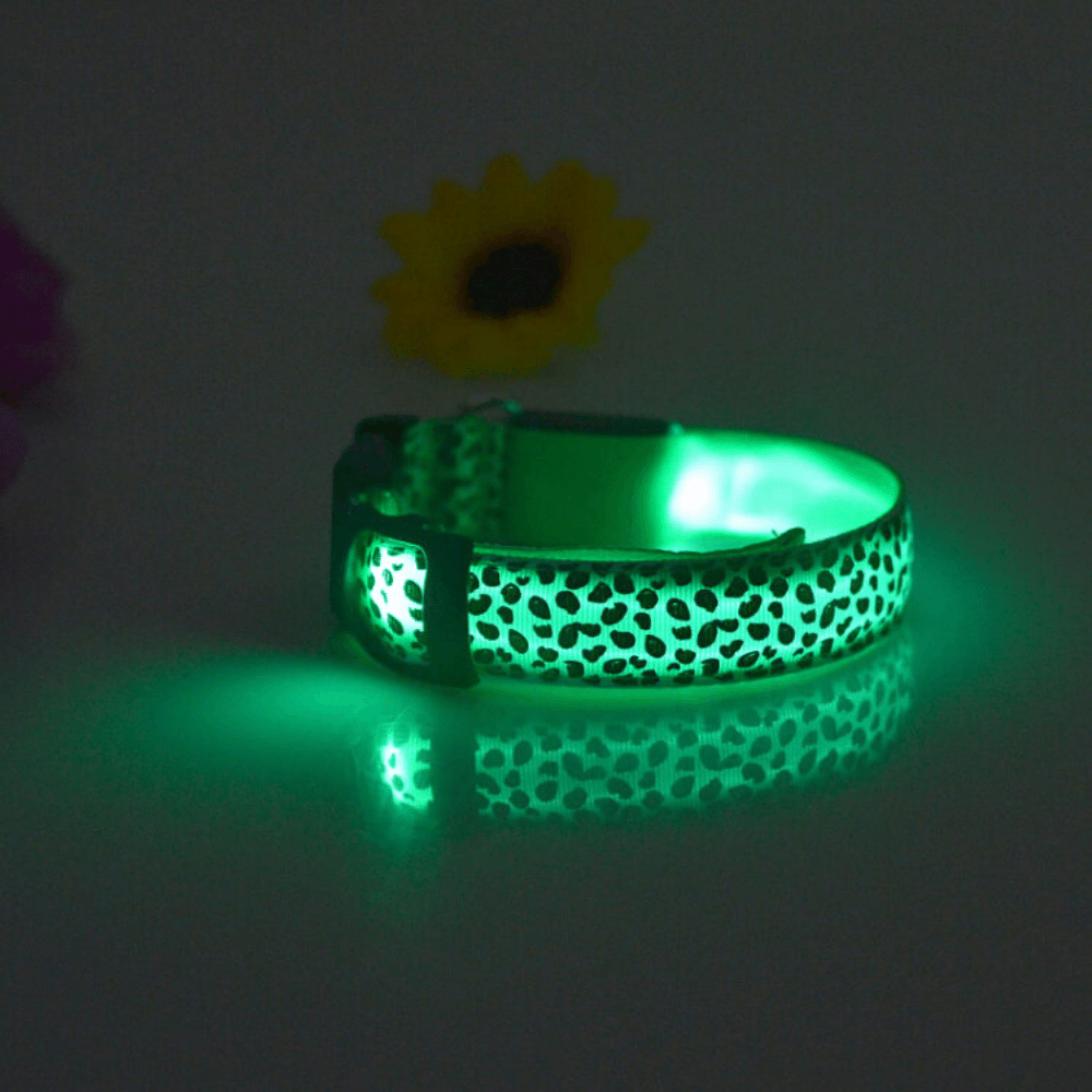 Green / Leopard / S USB Rechargeable LED Flashing Nylon Dog Collar