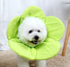 Green / M Beauty flower anti-scratch pet protective cover