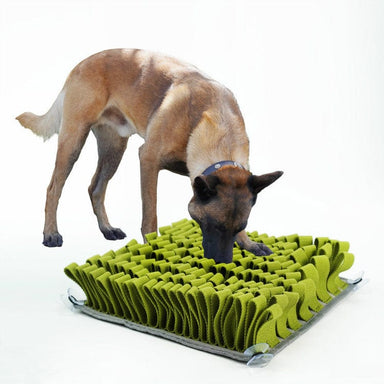 Green Pet Bite-Resistant Slow Food Toy Training Dogs Sniff Pads Anti-Choking Free Energy Treasure Hunting Blanket