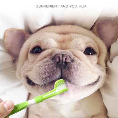 Green Pet Silicone Finger Toothbrush Dog Three-head Toothbrush