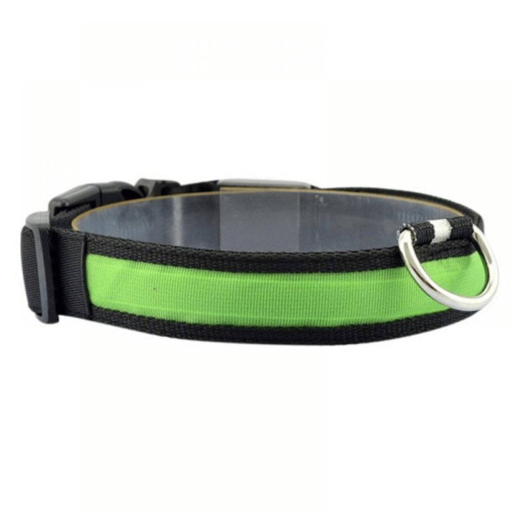 Green / Plain / L USB Rechargeable LED Flashing Nylon Dog Collar