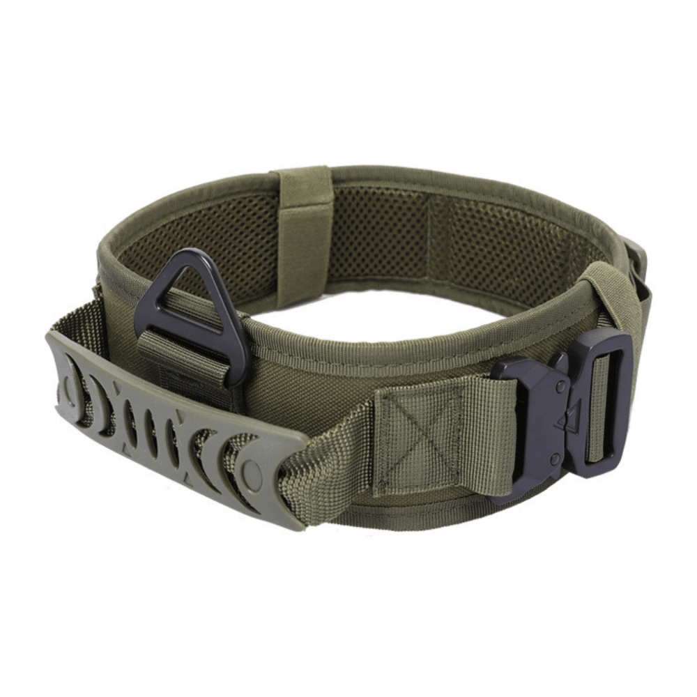 Green Quick Release Metal Buckle Outdoor Dog Walking Collar