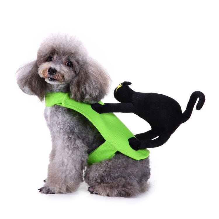 Green / S Black Cat Riding Dog Costume