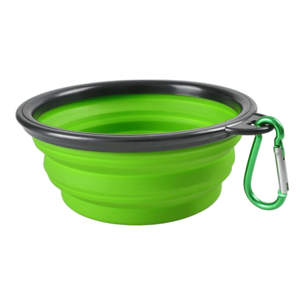 Green / Small / One Bowl Silicone Collapsible Dog Bowl