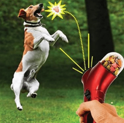 Handheld Dog Treat Launcher