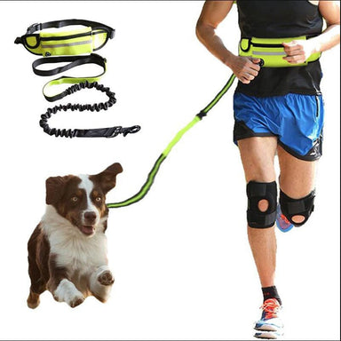 Hands Free Running Bungee Dog Leash With Waist Pouch