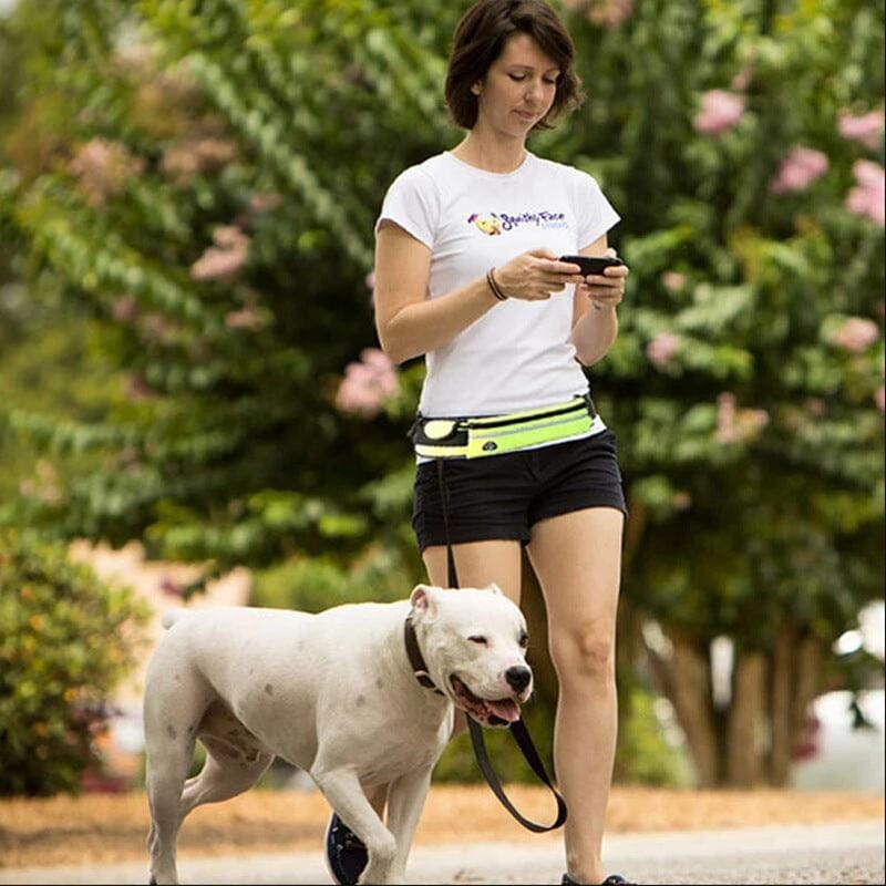 Hands Free Running Bungee Dog Leash With Waist Pouch