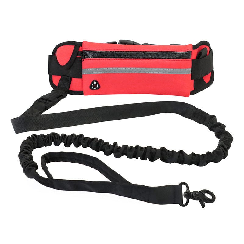 Hands Free Running Bungee Dog Leash With Waist Pouch