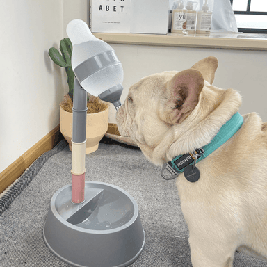 Height Adjustable Dog Standing Water Dispenser