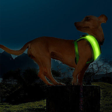 Illuminated Dog Vest LED Pet Chest Harness USB Charging