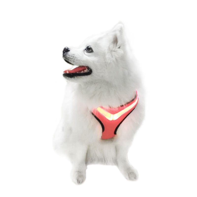 Illuminated Dog Vest LED Pet Chest Harness USB Charging