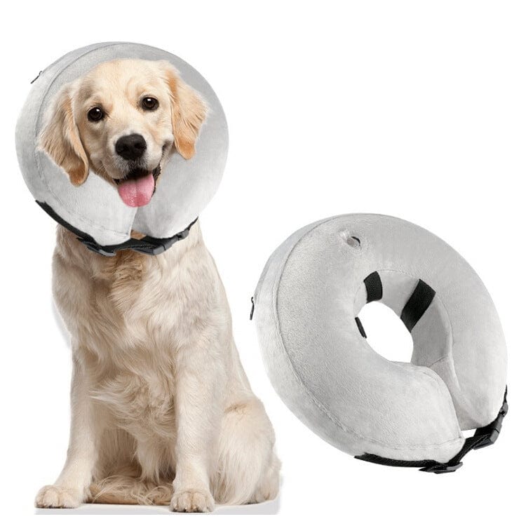 Inflatable Pet Collars