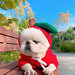 L Apple Dog Hoodie Sweater