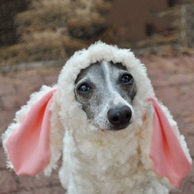 Large Dog Pet Clothes Cute And Funny Cross Dress Rabbit Ears Imitation Lamb Fur