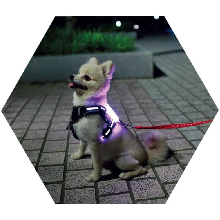 Led Pet Dog Luminous Collar Usb Rechargeable Silicone Collar Luminous Dog Neck Teddy Golden Retriever Large, Medium And Small Collar