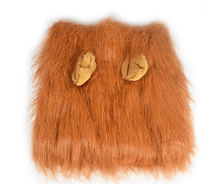 Lion's Mane Dog Costume