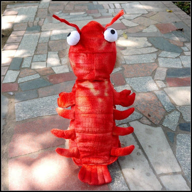 Lobster Dog Costume