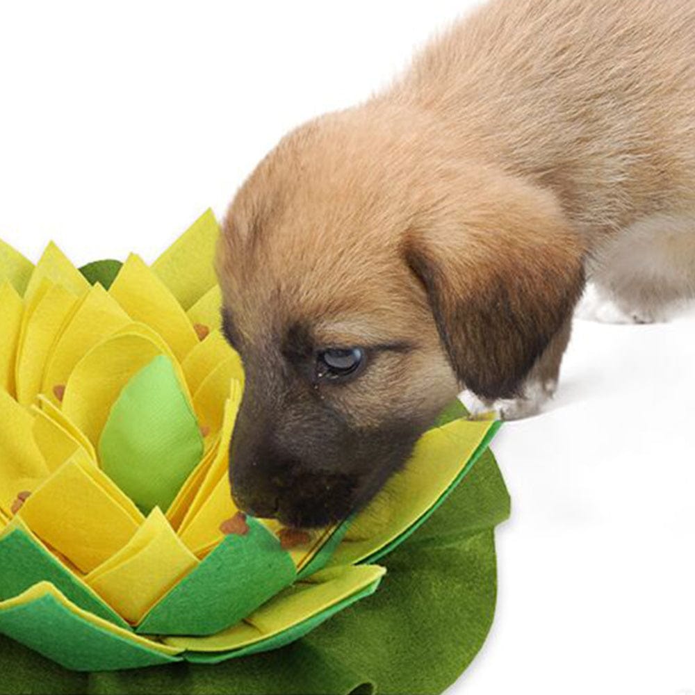 Lotus Flower Snuffle Mat