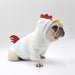 M Rooster Style Dog Sweater With Hood Cute Makeover