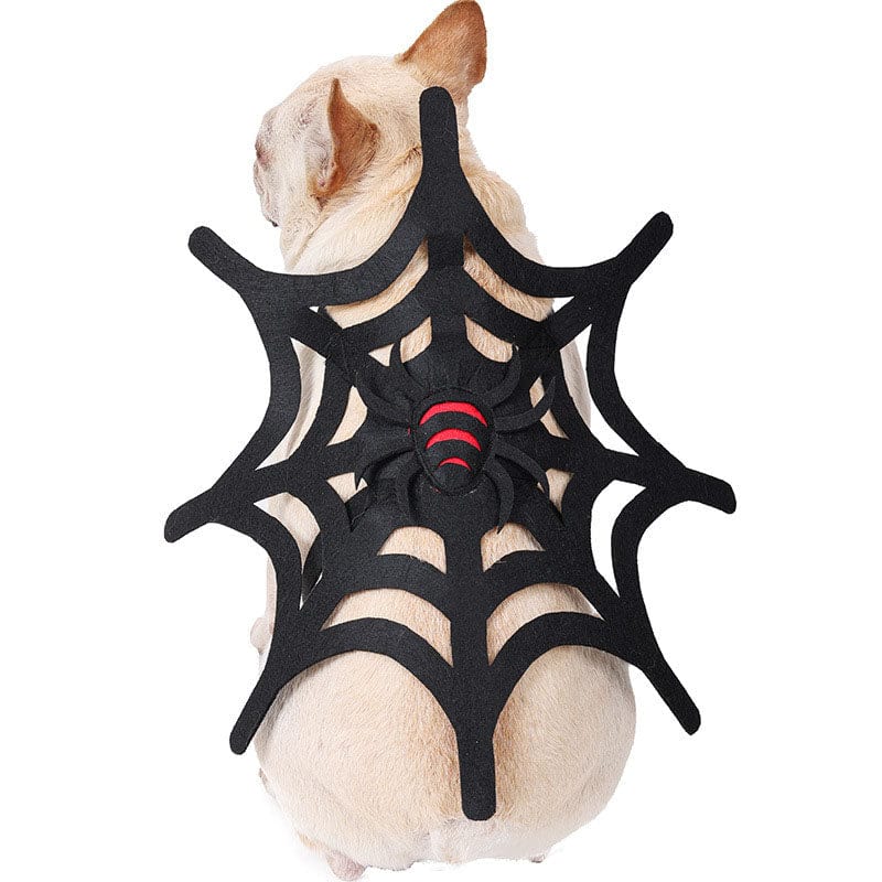 M Spider Web Dog Costume