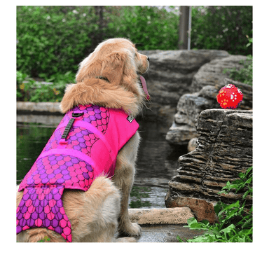 Mermaid Dog Life Jacket