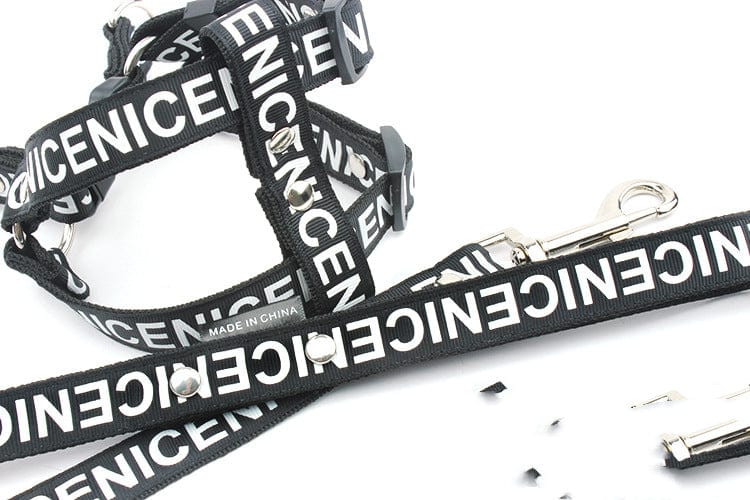 "Nice" Print Dog Harness and Leash Set