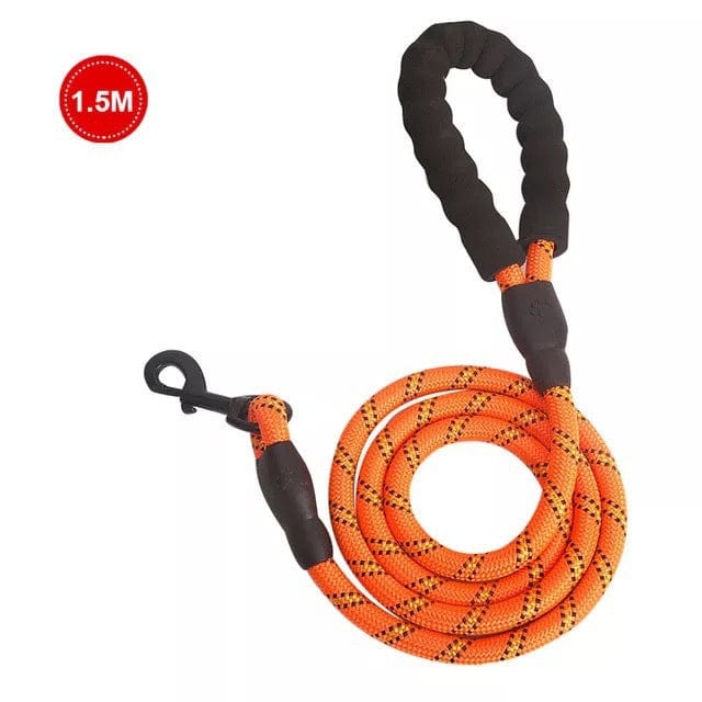 Orange 5ft Reflective Nylon Dog Rope Leash