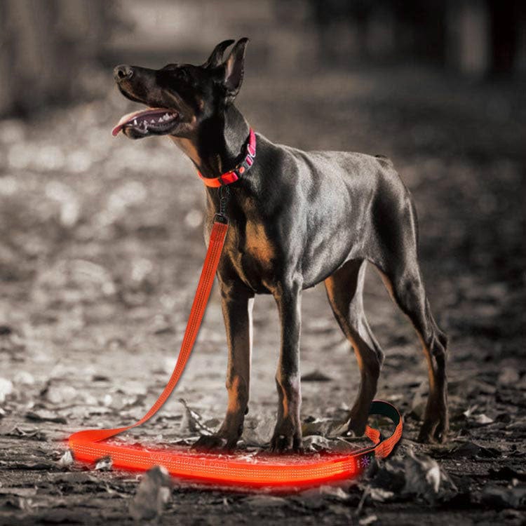 Orange Creative LED USB Charging Luminous Pet Leash