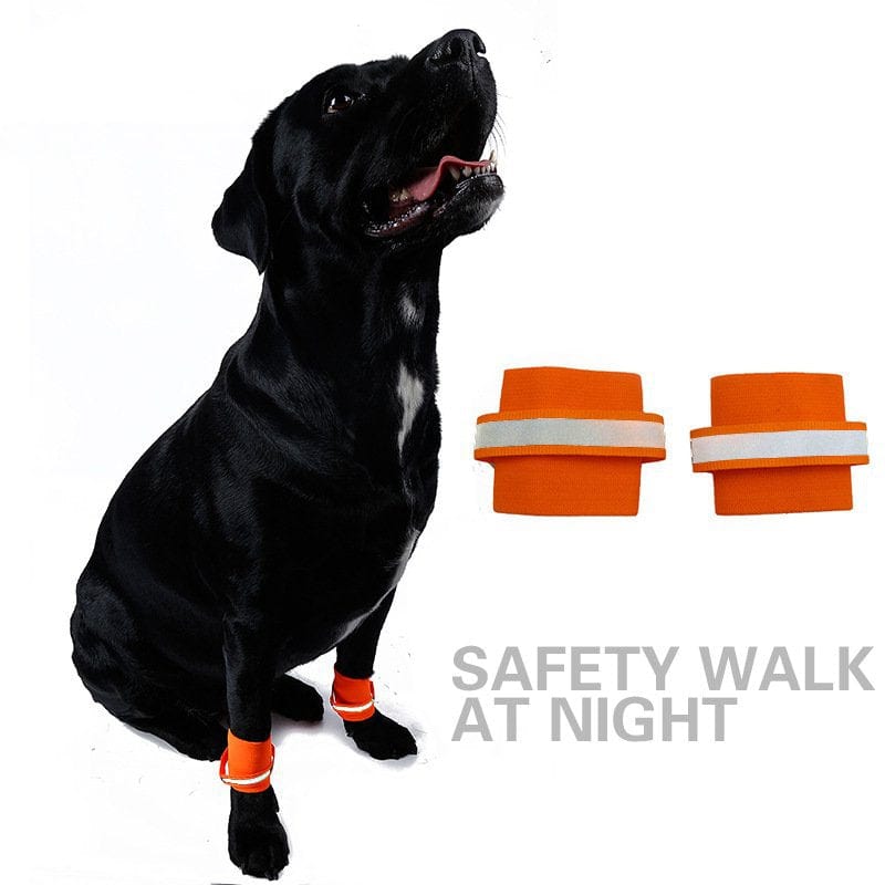 Orange / M Fluorescent Reflective Dog Wristband