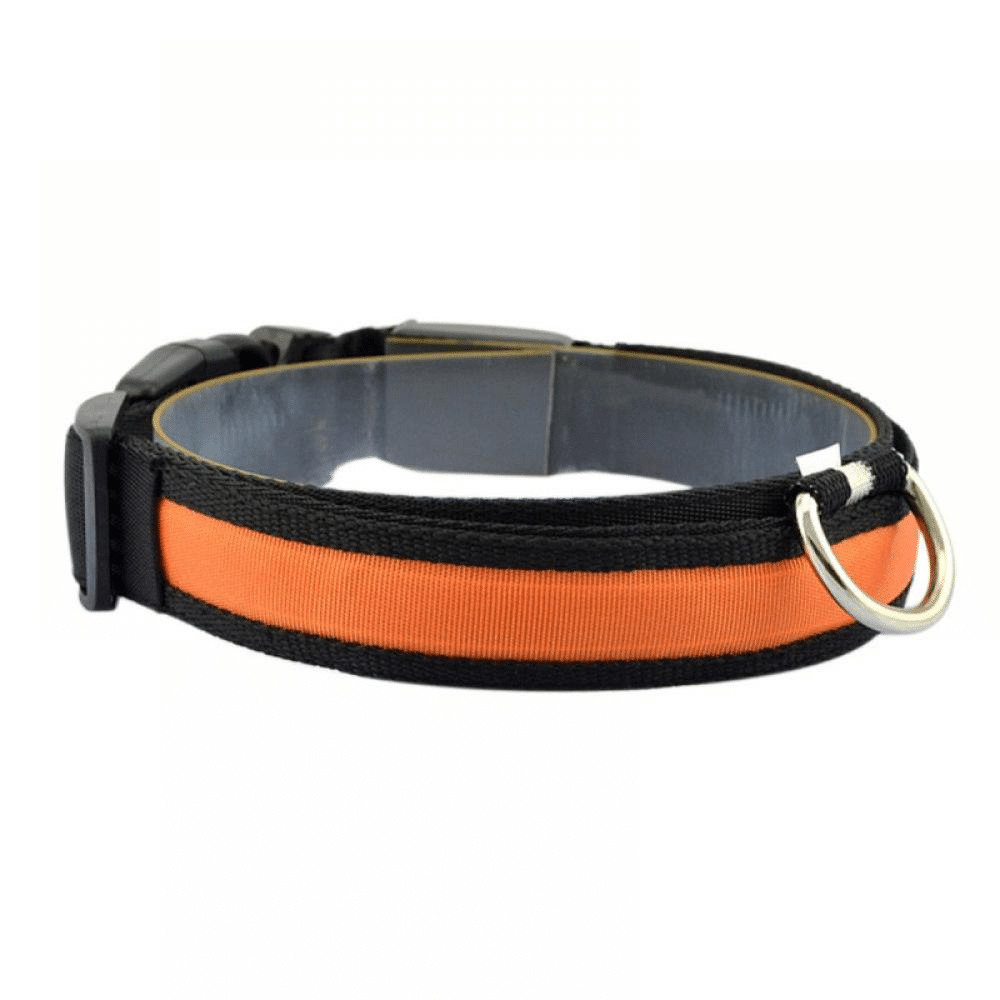 Orange / Plain / XL USB Rechargeable LED Flashing Nylon Dog Collar