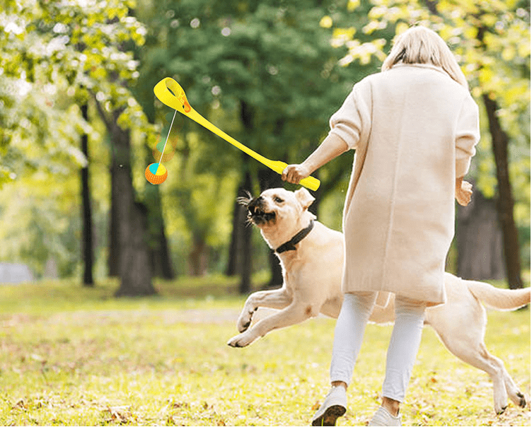 Outdoor Dog Toy Throwing Cue Ball Thrower