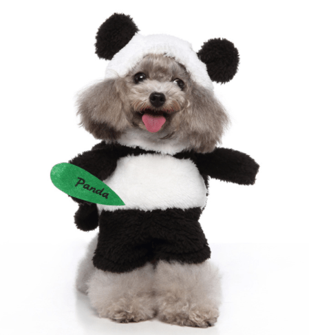 Panda Bear Dog Costume