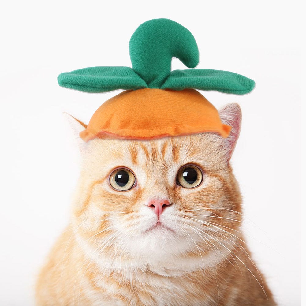 Pet Funny Green Leaf Pumpkin Headgear