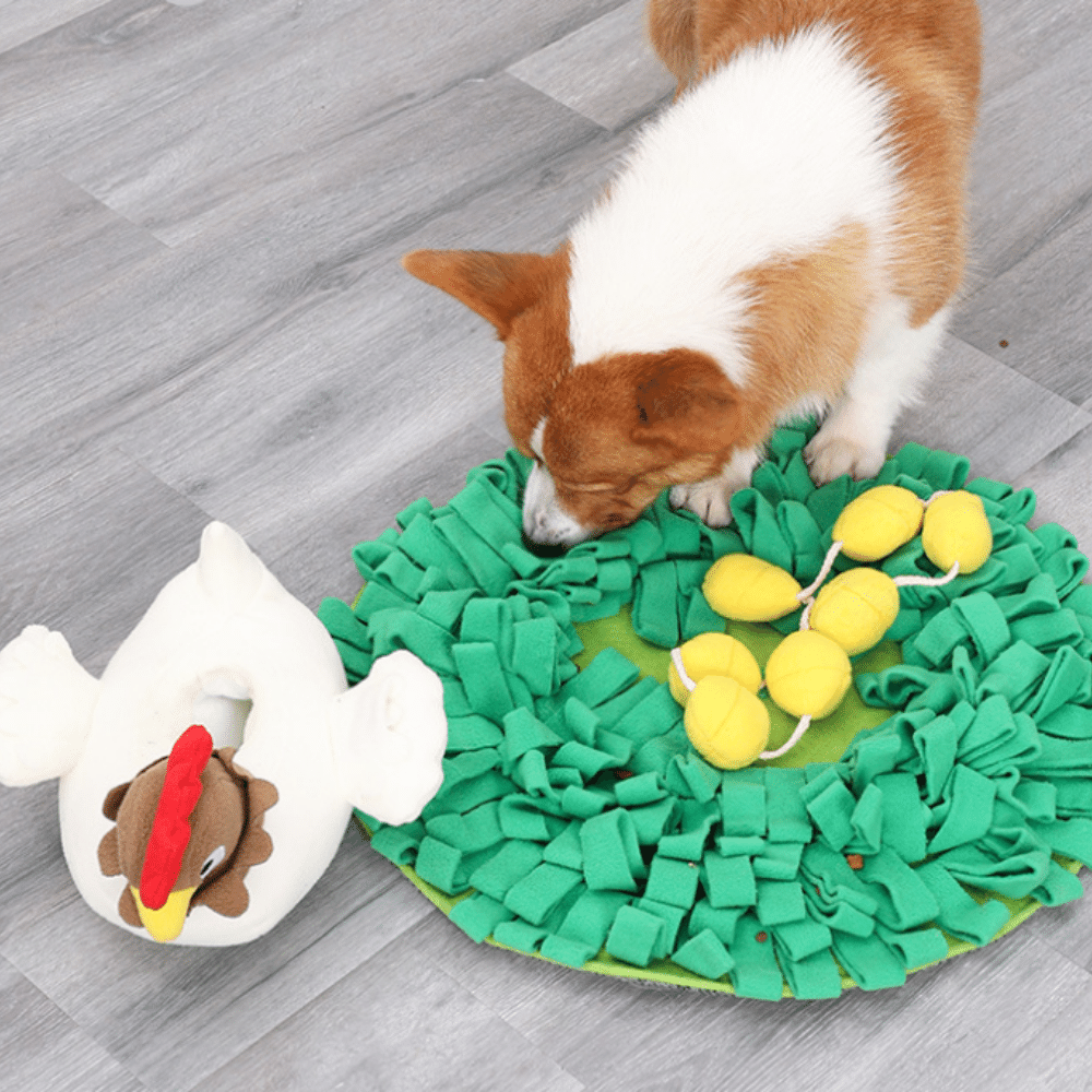 Pet Hen Incubating Egg Puzzle Sniffing Mat Toy Set