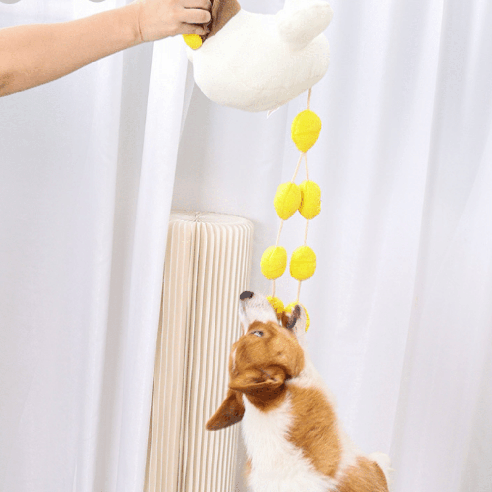 Pet Hen Incubating Egg Puzzle Sniffing Mat Toy Set