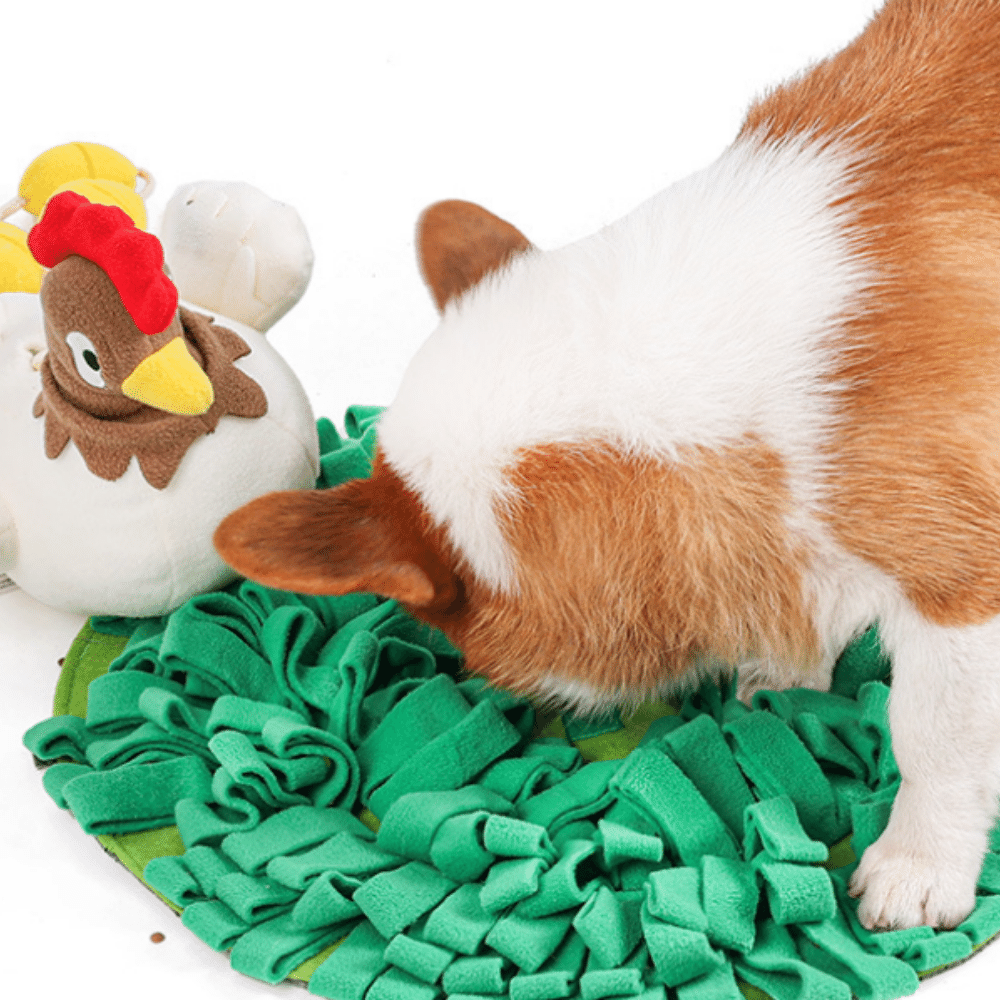 Pet Hen Incubating Egg Puzzle Sniffing Mat Toy Set