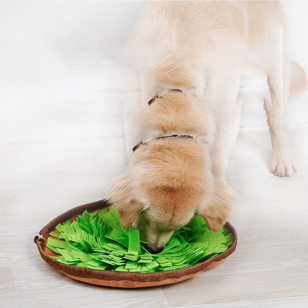 Pet Sniffing Mat Slow Food Puzzle Blanket