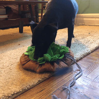 Pet Sniffing Mat Slow Food Puzzle Blanket