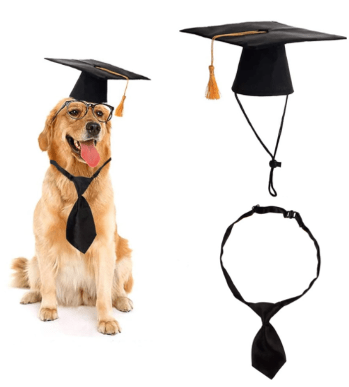 Pet Supplies Dog Doctor Hat And Tie