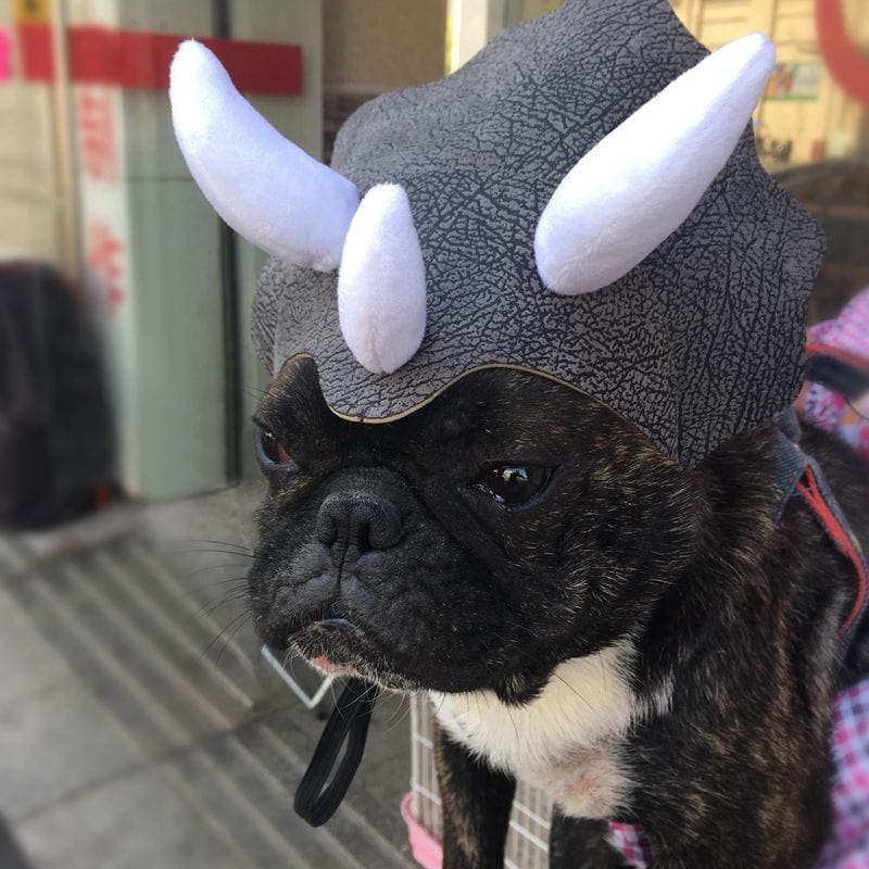 Pet Triceratops Dog Dinosaur Hat Pet Cat Dog Hat Pet Transformation Cap Pet Headgear Costume