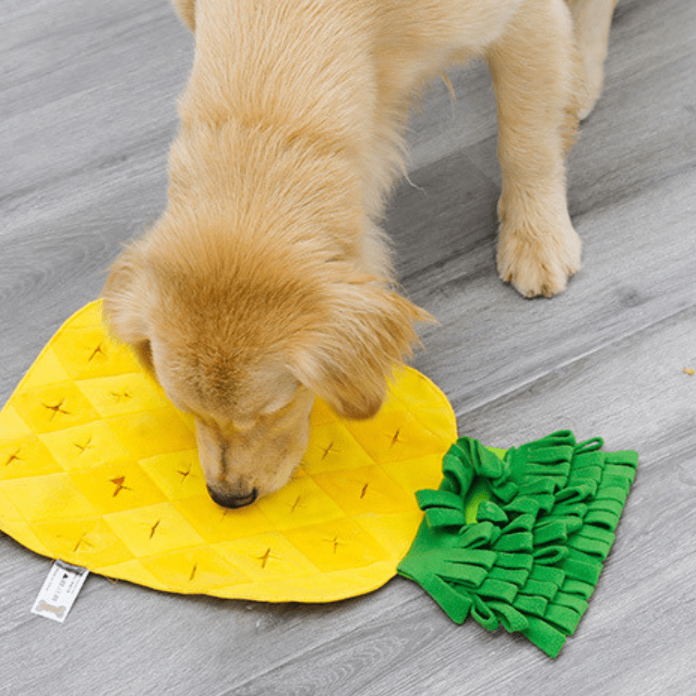 Pineapple Snuffle Mat